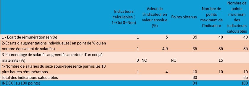 Tableau présentant les différents indicateurs permettant de calculer l'index d'égalité Hommes Femmes